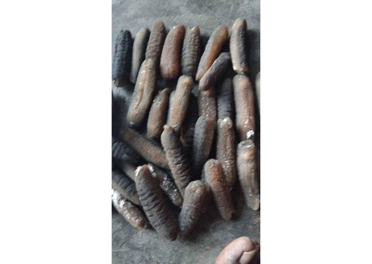 Dried black teatfish