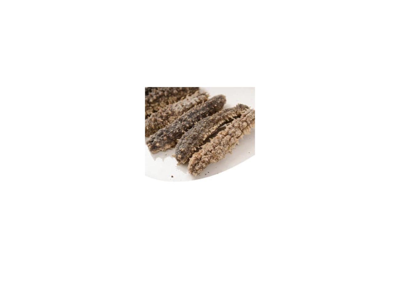 Dried sandfish