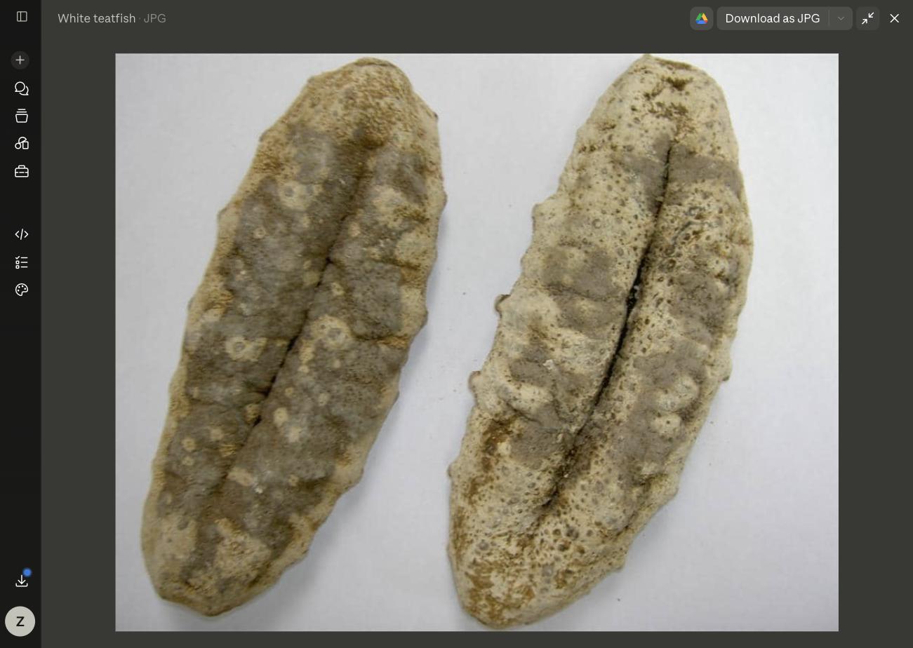 Dried white teatfish